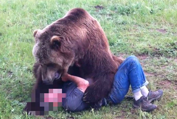 Grizzly Bear Porn